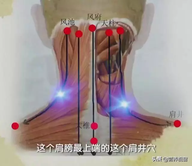 手到病除二:治頸椎病