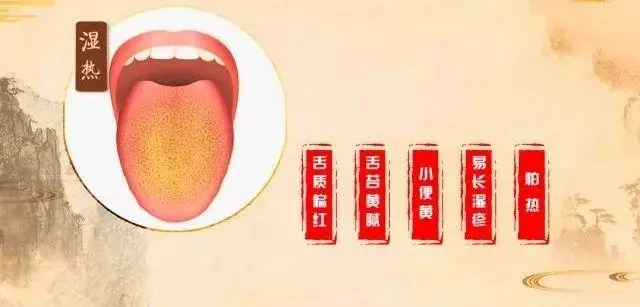 有沒有濕氣,看看舌頭就知道!4個方法,排濕降燥,熱濕寒濕拜拜