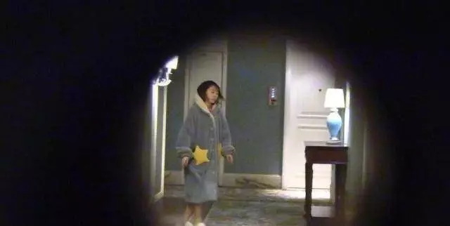 知情人曝洪欣近況:財產被畢瀅轉移,和兒子租房住靠借錢度日