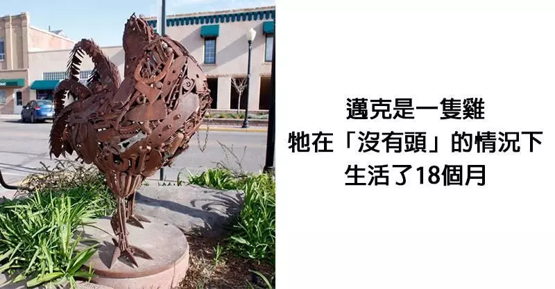 15個「你大腦都沒想過會接收到」的驚人事實!小孩3歲才有膝蓋骨...難怪走路很搖晃啊!~~~~