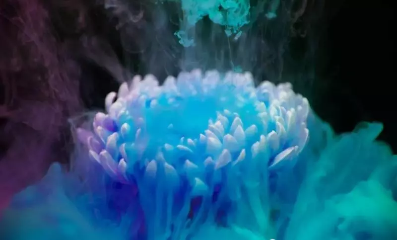 下等人聊是非,中等人談問題,上等人論格局