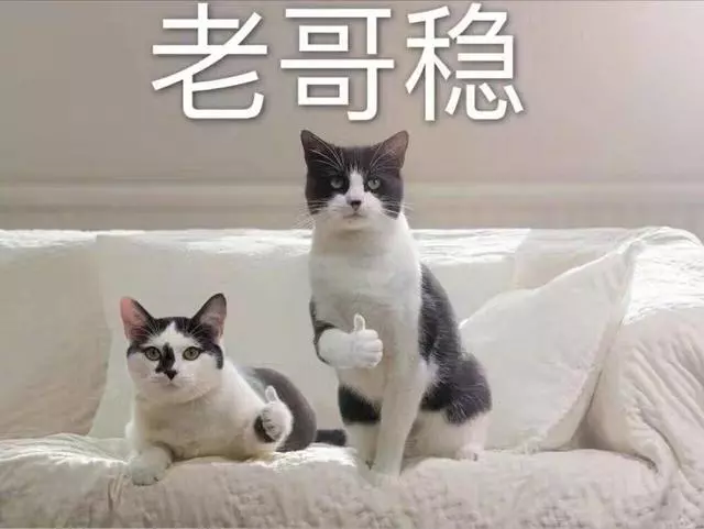2019世界最安全國度排行榜,前十隻有一個亞洲國家,不是中國日本