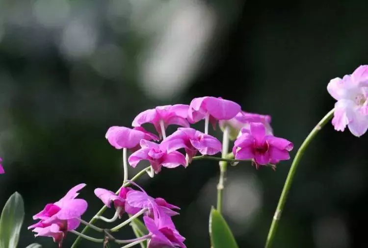 4月12號起財運如虹,5生肖橫財發千萬,大富大貴不差錢!