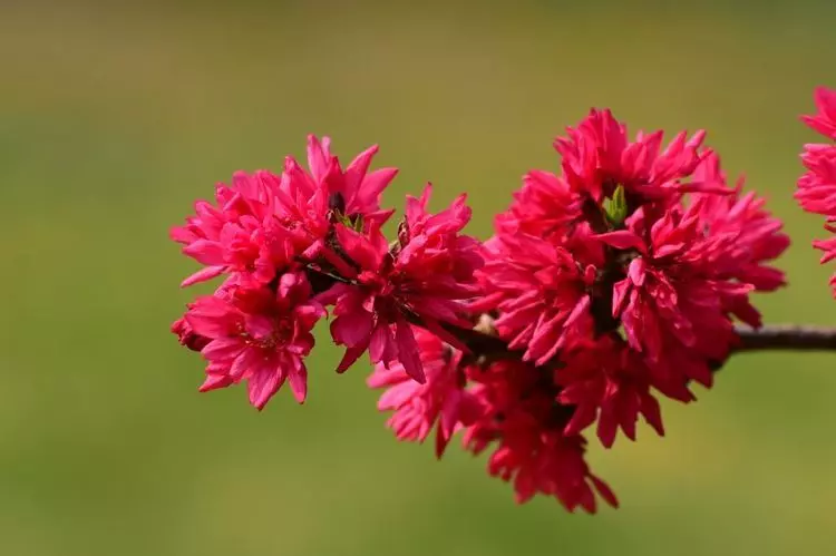 4月12號起財運如虹,5生肖橫財發千萬,大富大貴不差錢!