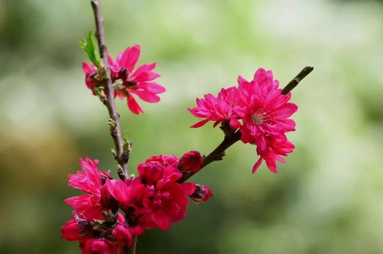 4月12號起財運如虹,5生肖橫財發千萬,大富大貴不差錢!