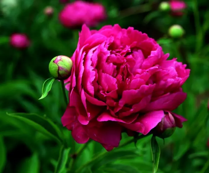 4月12號起財運如虹,5生肖橫財發千萬,大富大貴不差錢!
