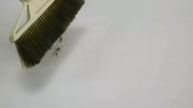 掃了30年的地才發現,塑膠袋套在掃把上,千家萬戶的難題就解決了!