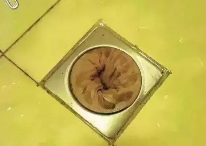 掃了30年的地才發現,塑膠袋套在掃把上,千家萬戶的難題就解決了!