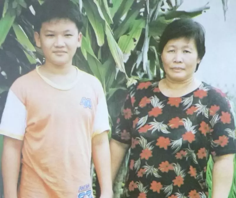 萬病仙草「苦王穿心蓮 」民間流傳的七葉救主!可治發燒、感冒、血壓高、喉嚨痛! -