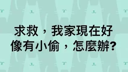 女驚恐發文「家有小偷」 警破門傻眼