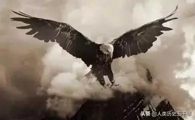 鷹的故事,只有改變才能重生