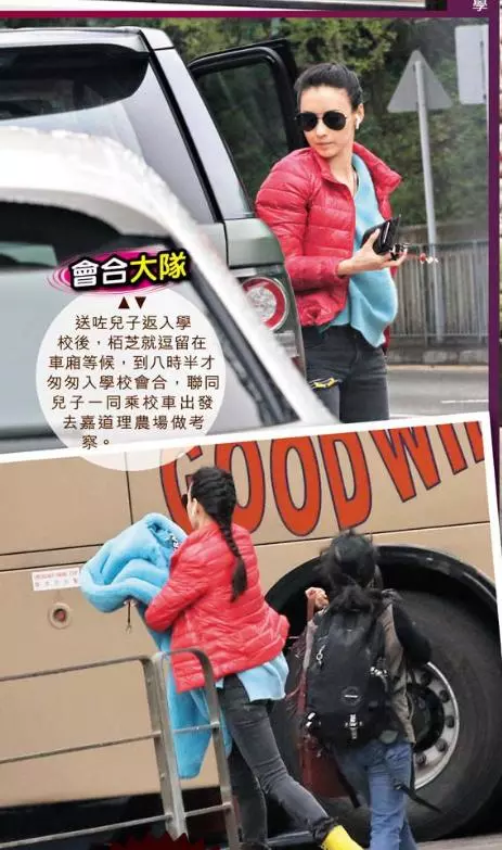 張柏芝兒子越長越像謝霆鋒,野外活動被女同學圍追超受歡迎!
