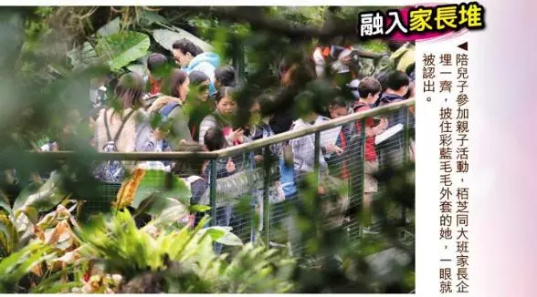 張柏芝兒子越長越像謝霆鋒,野外活動被女同學圍追超受歡迎!