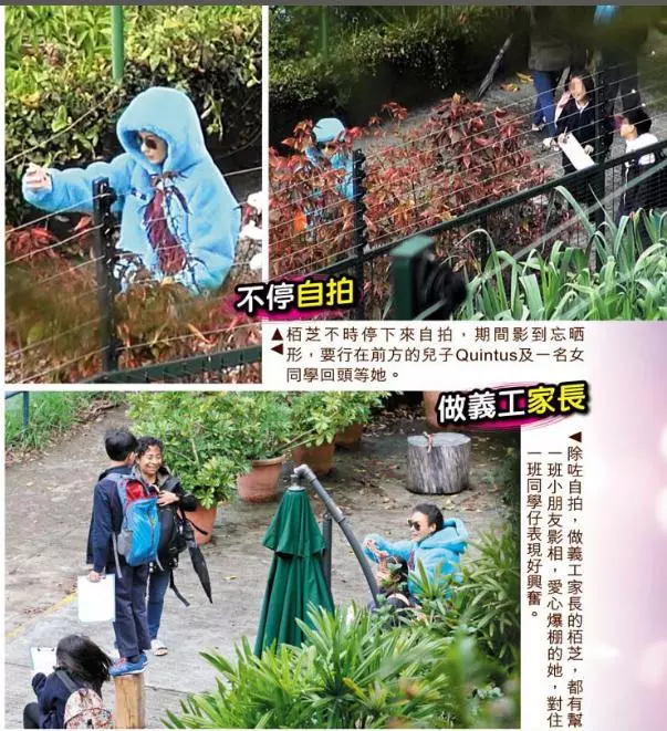 張柏芝兒子越長越像謝霆鋒,野外活動被女同學圍追超受歡迎!
