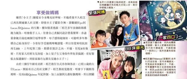張柏芝兒子越長越像謝霆鋒,野外活動被女同學圍追超受歡迎!