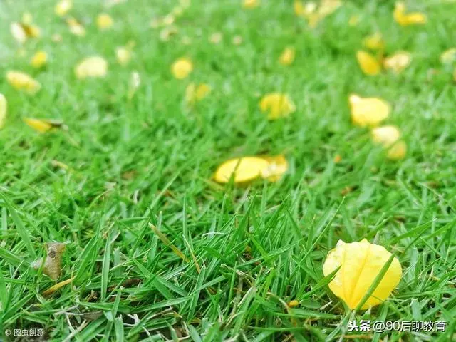 欲為大樹,莫與草爭!(精闢)