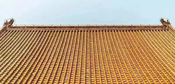 快600年了...為什麼故宮屋頂卻「從來都沒鳥糞」?古人智慧太嚇人:連鳥都不敢過來