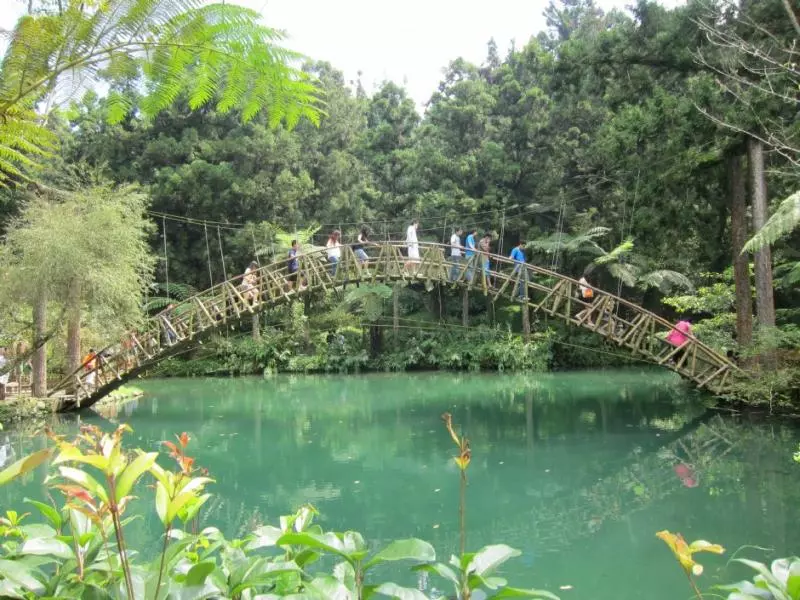 溪頭自然教育園區(溪頭森林遊樂區)