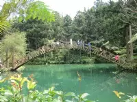 溪頭自然教育園區(溪頭森林遊樂區)