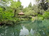 溪頭自然教育園區(溪頭森林遊樂區)