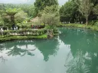 溪頭自然教育園區(溪頭森林遊樂區)