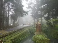 溪頭自然教育園區(溪頭森林遊樂區)