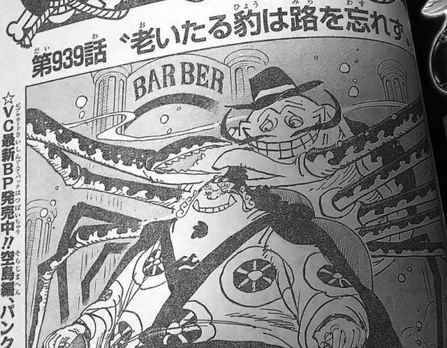 海賊王939話:神秘人出現,紅心團重傷,豹大叔教導路飛高級霸氣