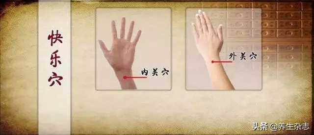 病由心生,治病先治心!五步調心法,把心調好,疾病不找!