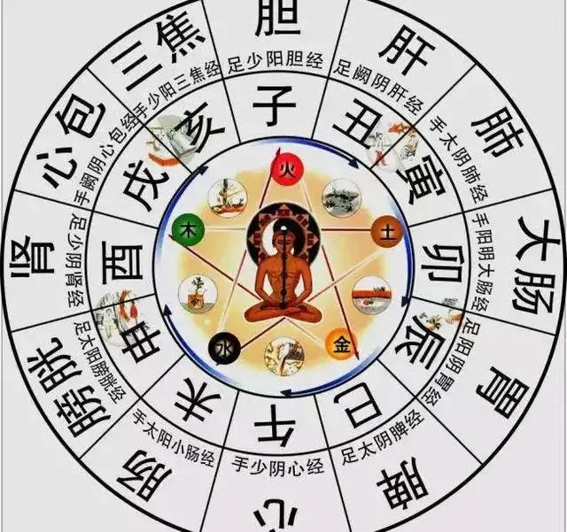 五臟六腑24小時養生排表,什麼是子午流注?
