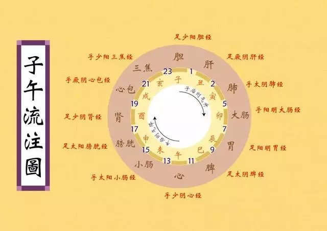 五臟六腑24小時養生排表,什麼是子午流注?