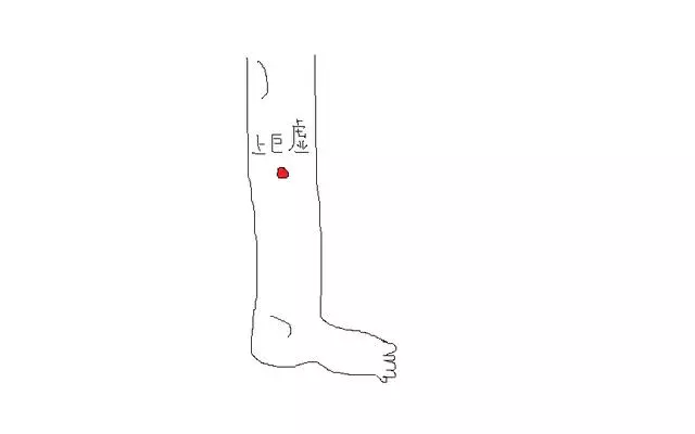 老是便秘,人難受?中醫:4大穴位堅持按,腸胃會看到差別