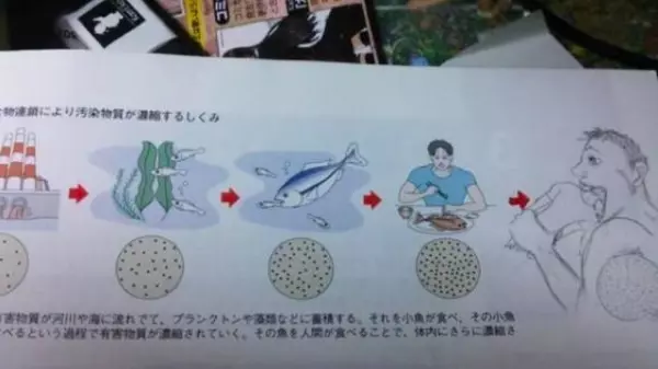 16張證明「日本小孩絕對沒有極限」的超狂課本塗鴉 網崩潰:他們都看什麽長大的?