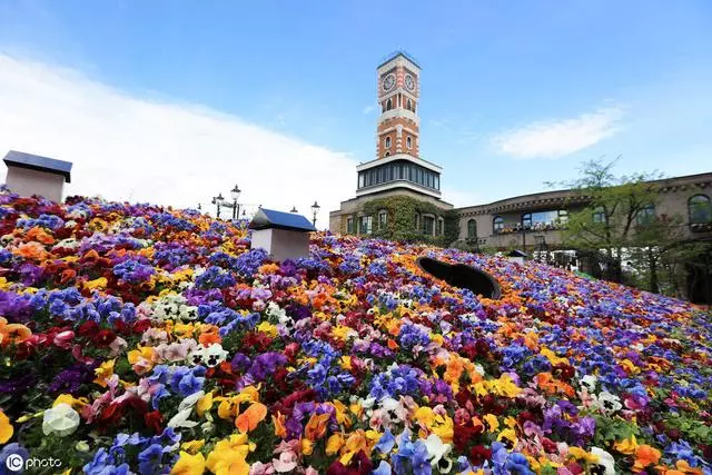 去北海道,帶著浪漫情懷去體驗每一場旅行吧
