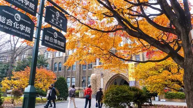去北海道,帶著浪漫情懷去體驗每一場旅行吧