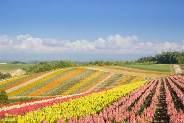 去北海道,帶著浪漫情懷去體驗每一場旅行吧