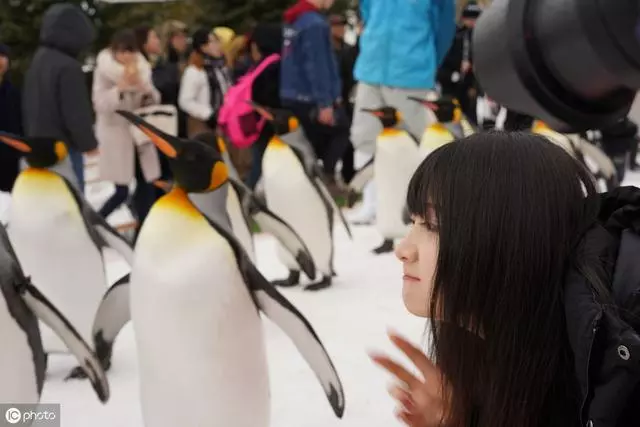 去北海道,帶著浪漫情懷去體驗每一場旅行吧