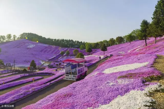 去北海道,帶著浪漫情懷去體驗每一場旅行吧