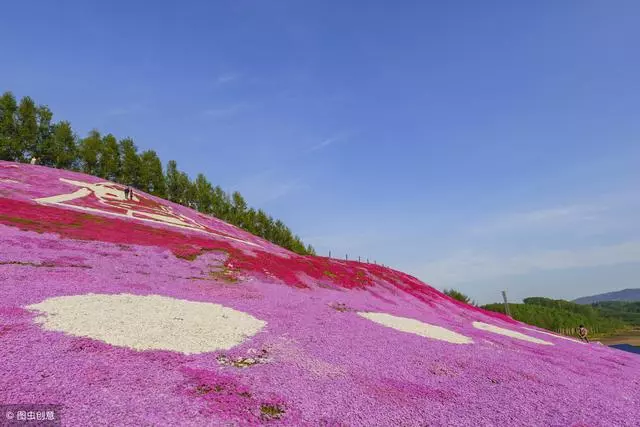 去北海道,帶著浪漫情懷去體驗每一場旅行吧