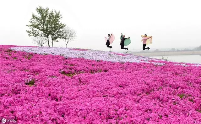 去北海道,帶著浪漫情懷去體驗每一場旅行吧