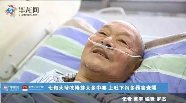 【注意】男子吃了一盤香椿炒蛋,竟多器官衰竭!這些菜吃前一定要焯水!