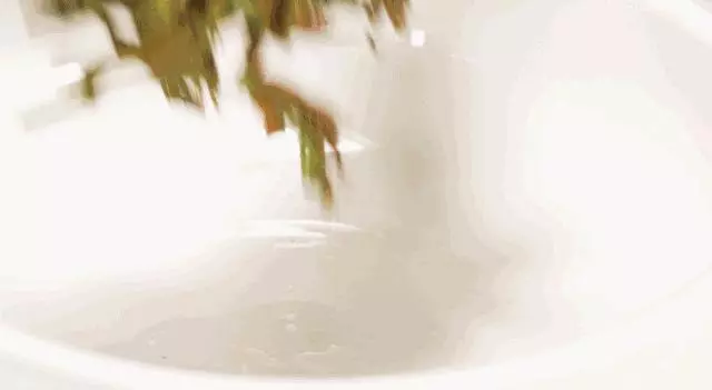 【注意】男子吃了一盤香椿炒蛋,竟多器官衰竭!這些菜吃前一定要焯水!