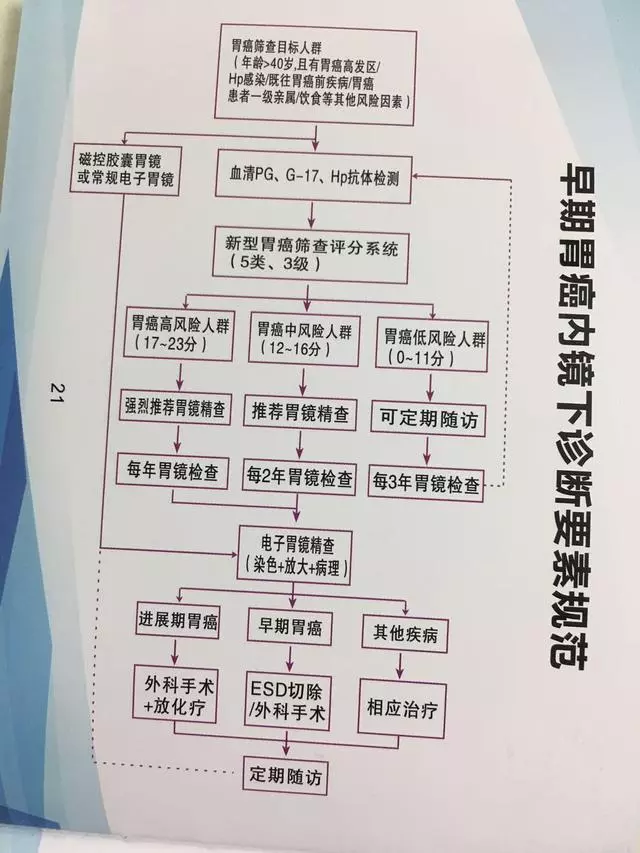 早期胃癌5年生存率超9成!需做胃癌篩查的高危人群條件你知道嗎?