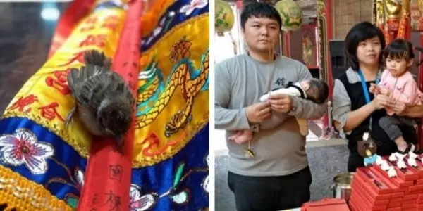 媽祖慈悲!被醫生診斷「很難生出來」求助神明 娘娘賜福「突然飛出幼鳥」讓他落淚還願