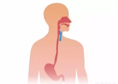 牛奶早起喝還是晚上喝好?這6個誤區不清楚,喝再多也是白喝