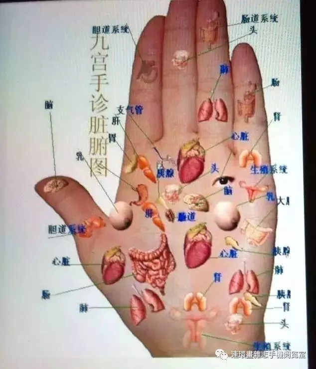 【手診!(天使養身)】