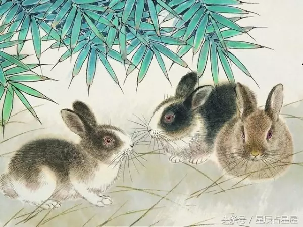 地主爺說:我送財來了,這些生肖的快來接財,接住明晚必中頭獎