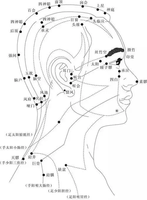 超清晰穴位圖文,醫院50個中醫針灸常用穴位功效圖