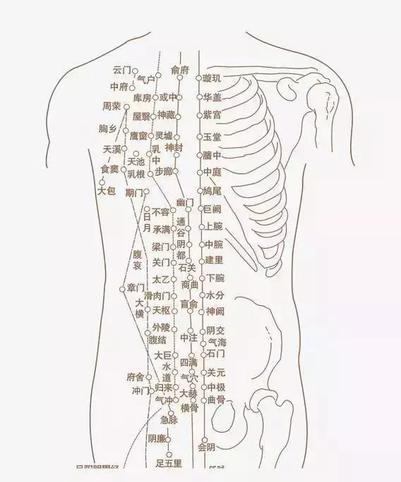 超清晰穴位圖文,醫院50個中醫針灸常用穴位功效圖