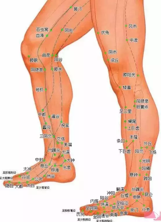 超清晰穴位圖文,醫院50個中醫針灸常用穴位功效圖