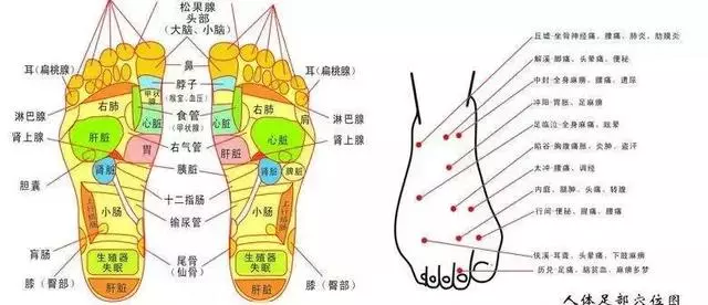 超清晰穴位圖文,醫院50個中醫針灸常用穴位功效圖